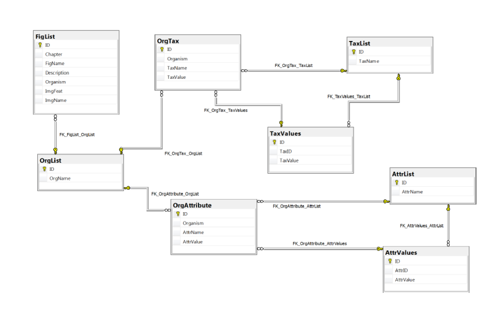 MicroGraphs Website Data Diagram of organisms
