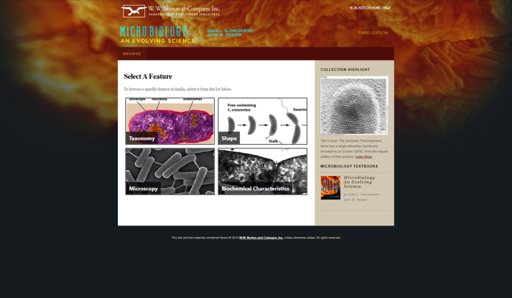 Micrographs Home Page