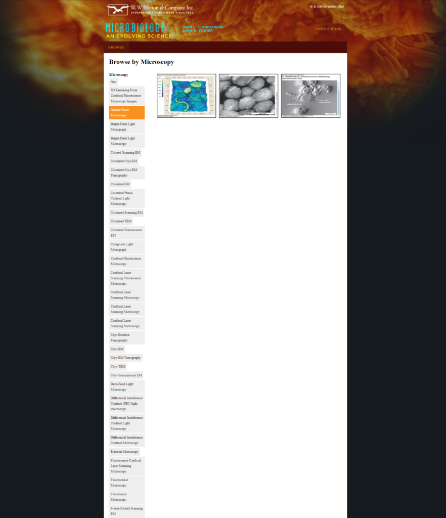 Micrographs Microscopy page filtered